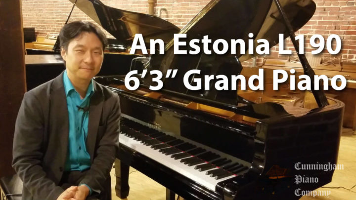 A Young Man sitting in front of Estonia Grand Piano Model L190
