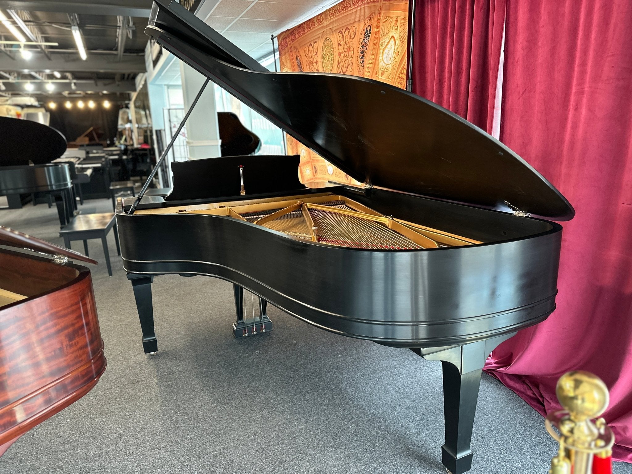 1901 Steinway Model B Grand Piano – Satin Ebony | 5 - Year Warranty - Cunningham Piano