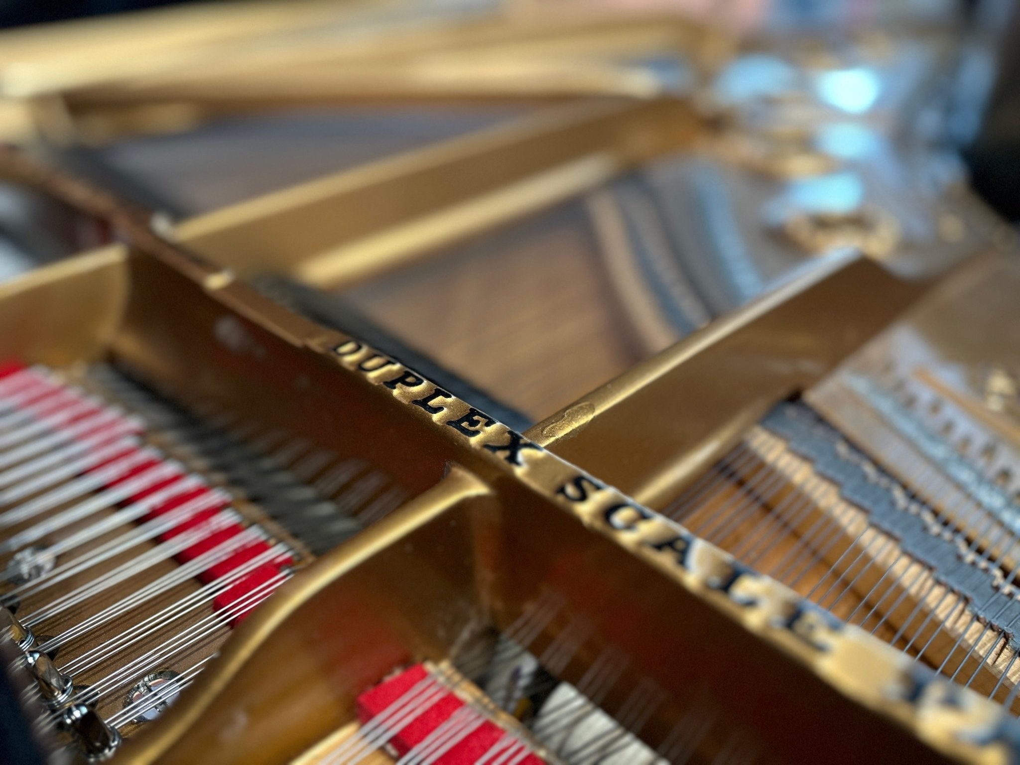 1901 Steinway Model B Grand Piano – Satin Ebony | 5 - Year Warranty - Cunningham Piano