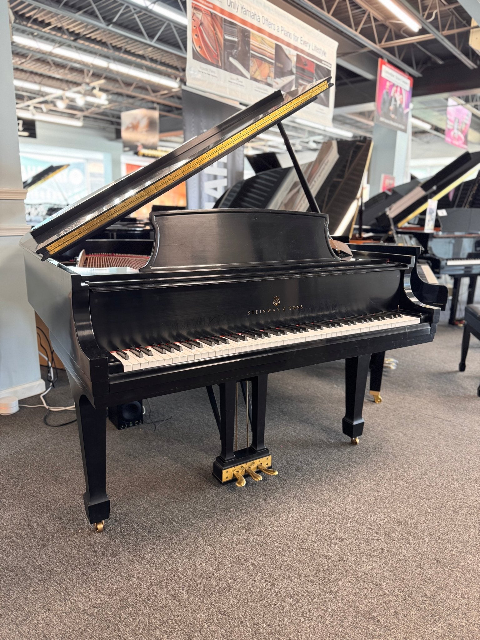 1999 Steinway Model M 5′7″ Grand Piano – Restored | PianoDisc Prodigy II | 10 - Year Warranty - Cunningham Piano