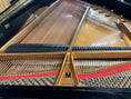 Load image into Gallery viewer, 1999 Steinway Model M 5′7″ Grand Piano – Restored | PianoDisc Prodigy II | 10 - Year Warranty - Cunningham Piano