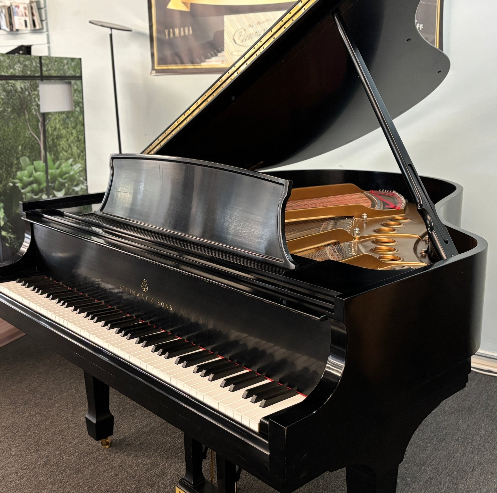 1999 Steinway Model M 5′7″ Grand Piano – Restored | PianoDisc Prodigy II | 10 - Year Warranty - Cunningham Piano
