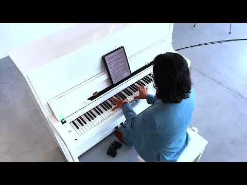 Petrof P 131 Full Studio Upright Piano (52")