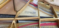 Load image into Gallery viewer, Cunningham 5' Baby Grand Piano - Cunningham Piano