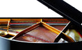 Load image into Gallery viewer, Petrof Bora P159 (5'2") Baby Grand Piano in Ebony Polish - Cunningham Piano