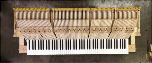 Custom sized keyboards - now everyone can comfortably play! - Cunningham Piano