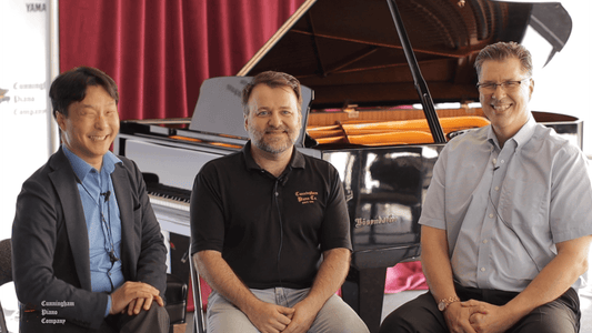 What To Do In Vienna? - Cunningham Piano