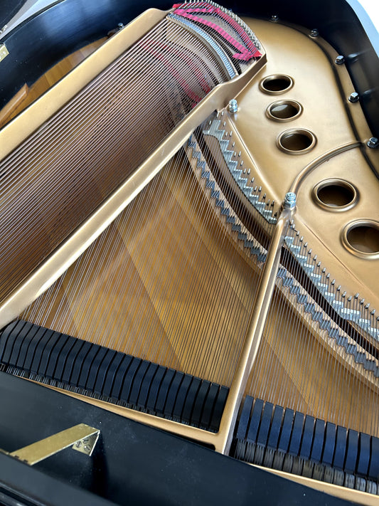 Steinway & Sons M - Photo 2