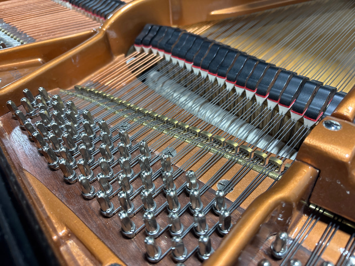 Bösendorfer 155 EP  - Photo 5