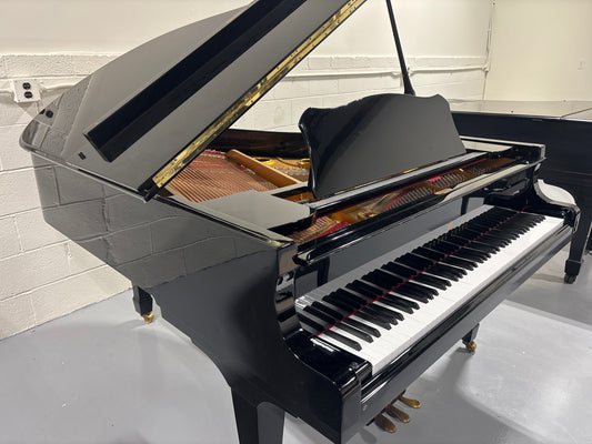 Young Chang G-185 PE - Photo 1