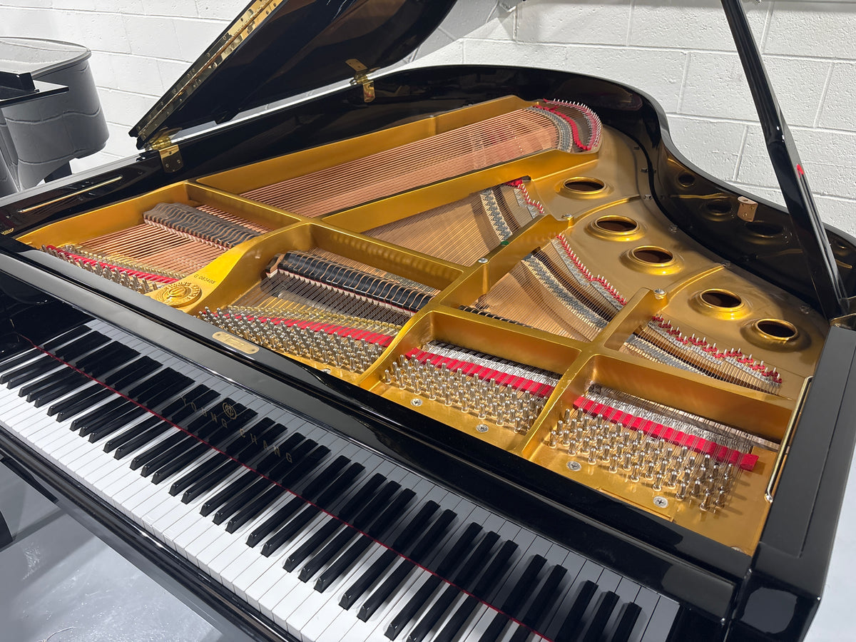 Young Chang G-185 PE - Photo 3