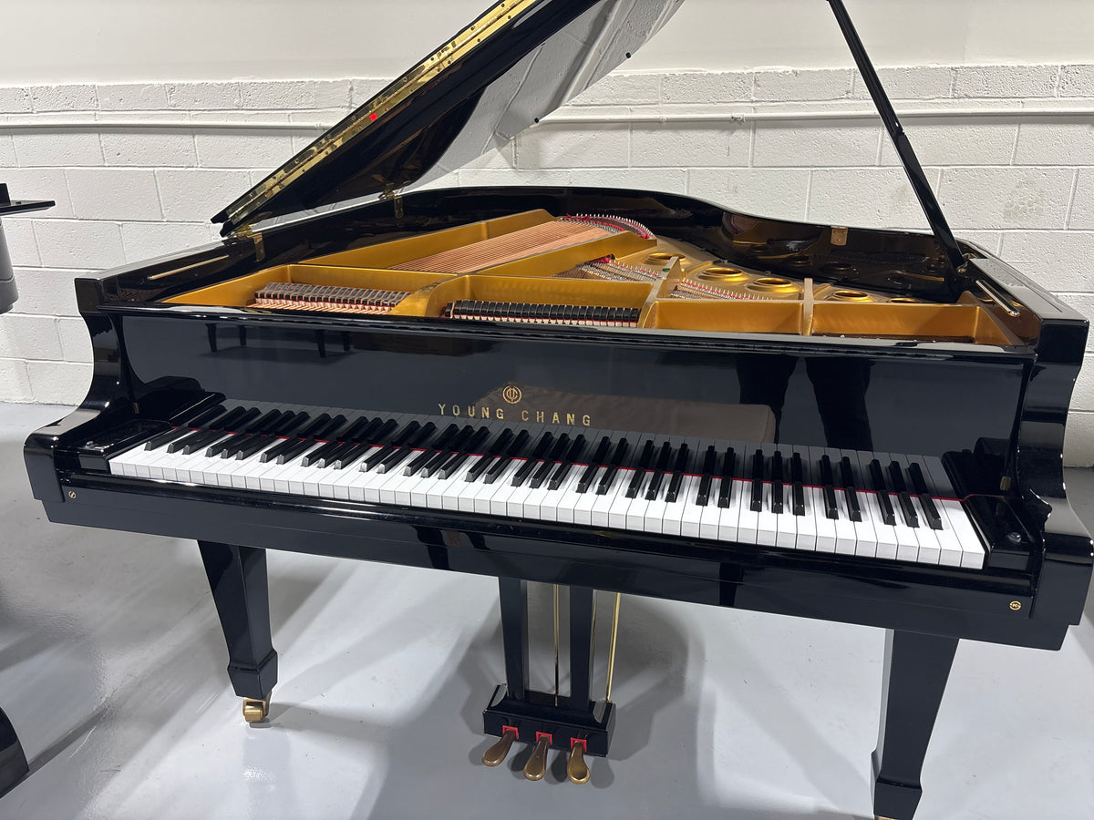 Young Chang G-185 PE - Photo 4