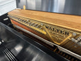 Load image into Gallery viewer, Charles Walter Upright - Photo 2
