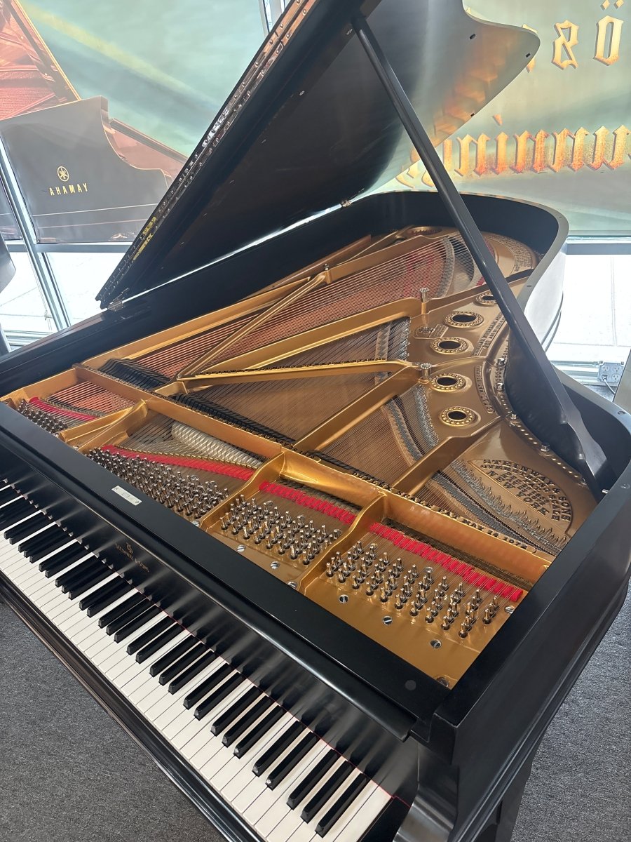 1901 Steinway Model B Grand Piano – Satin Ebony | 5 - Year Warranty - Cunningham Piano