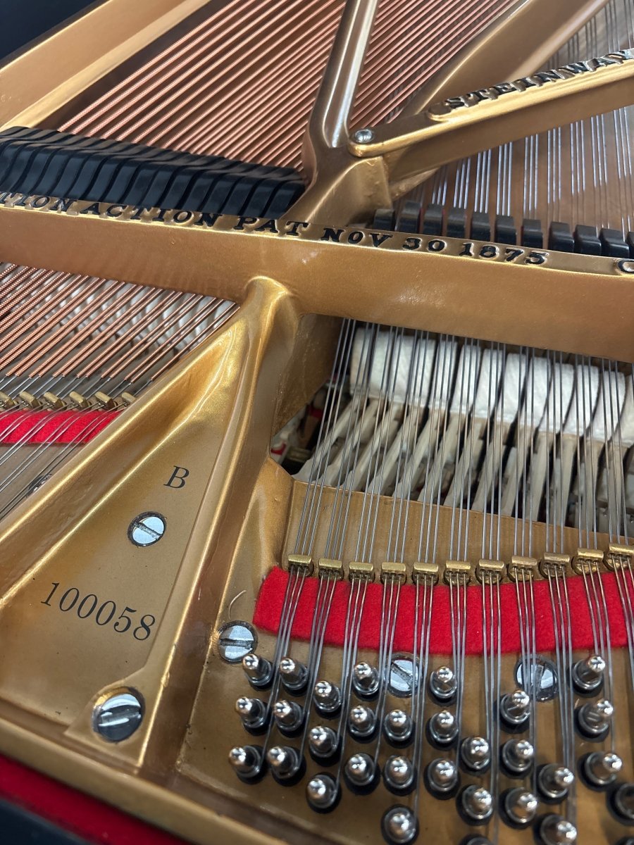 1901 Steinway Model B Grand Piano – Satin Ebony | 5 - Year Warranty - Cunningham Piano