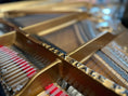 Load image into Gallery viewer, 1901 Steinway Model B Grand Piano – Satin Ebony | 5 - Year Warranty - Cunningham Piano
