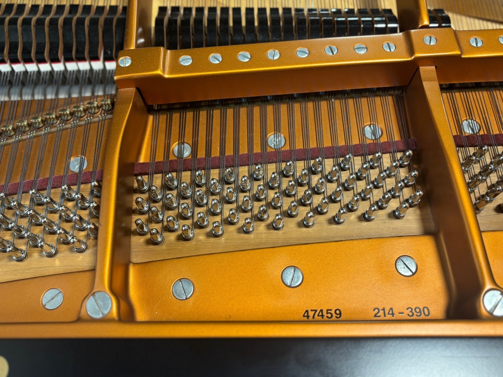 2004 Bösendorfer 214 Grand Piano – Tori Amos Signed | 5-Year