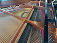 Load image into Gallery viewer, Pramberger PS-175 5'9" Grand Piano
