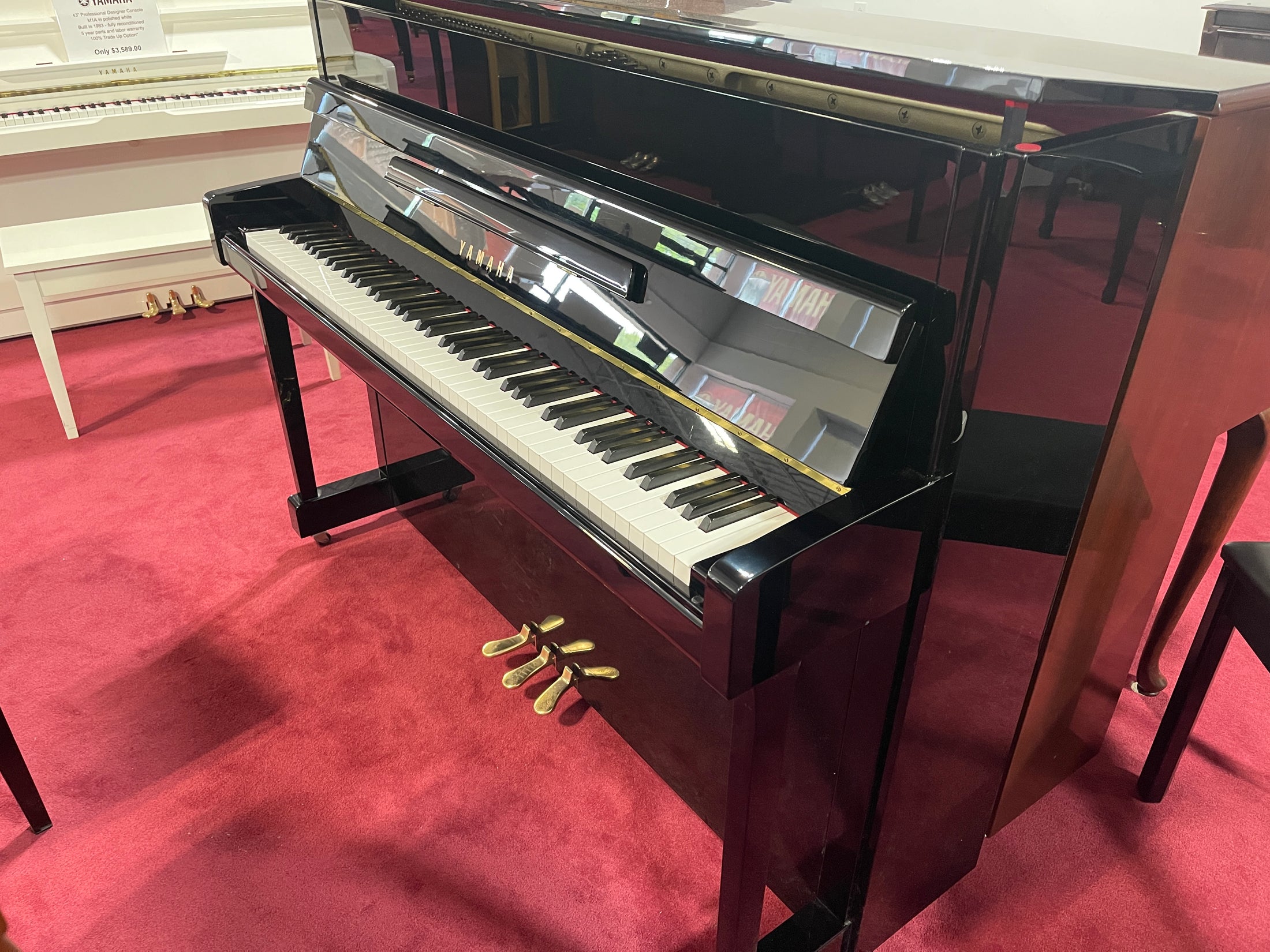 Yamaha B2 Polished Ebony