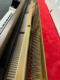 Load image into Gallery viewer, Petrof NEXT P127 (50") Upright Piano in White Polish with Wood Satin Wood Tones
