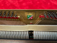 Load image into Gallery viewer, Petrof NEXT P127 (50") Upright Piano in White Polish with Wood Satin Wood Tones
