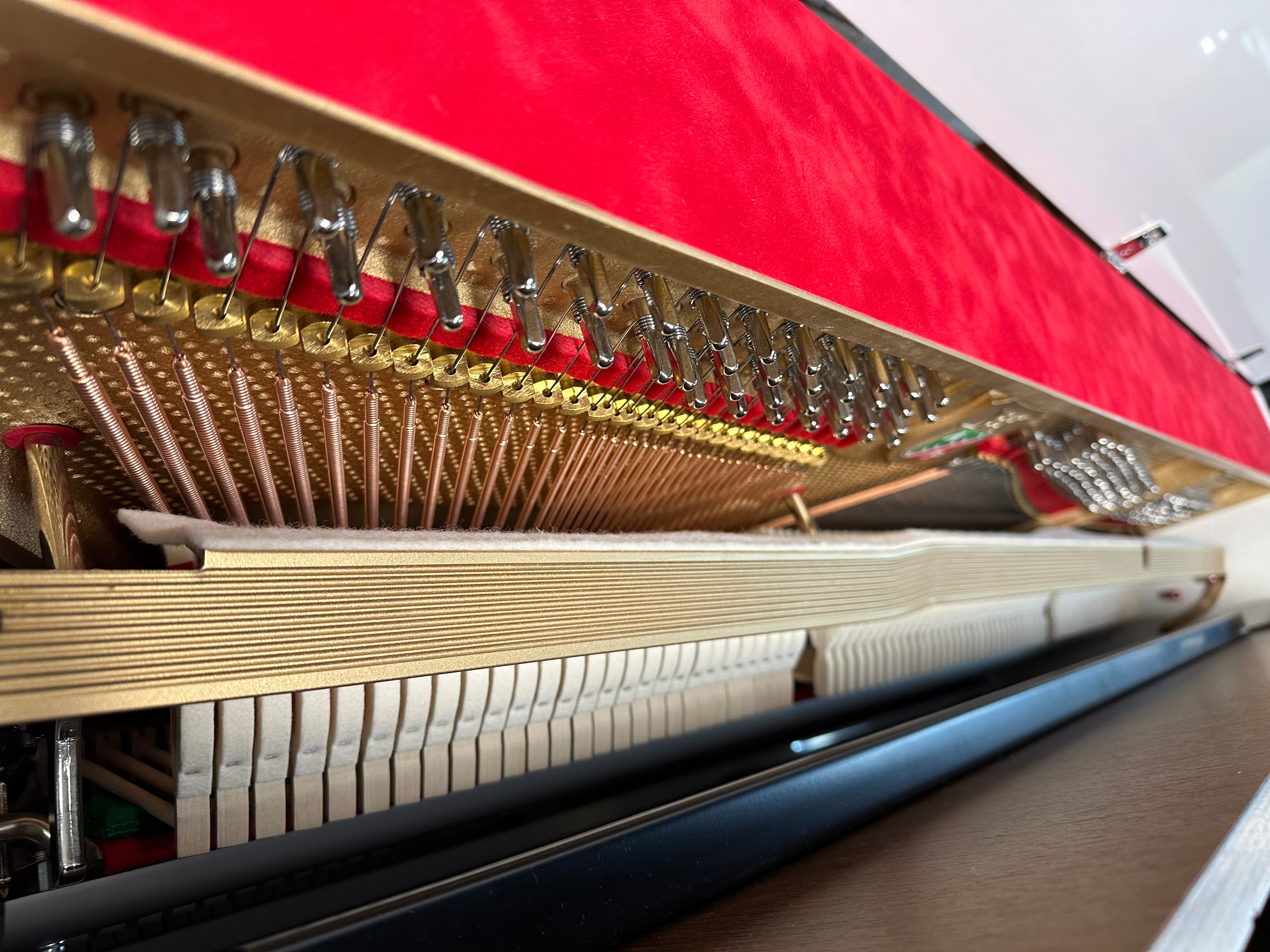 Petrof NEXT P127 (50") Upright Piano in White Polish with Wood Satin Wood Tones