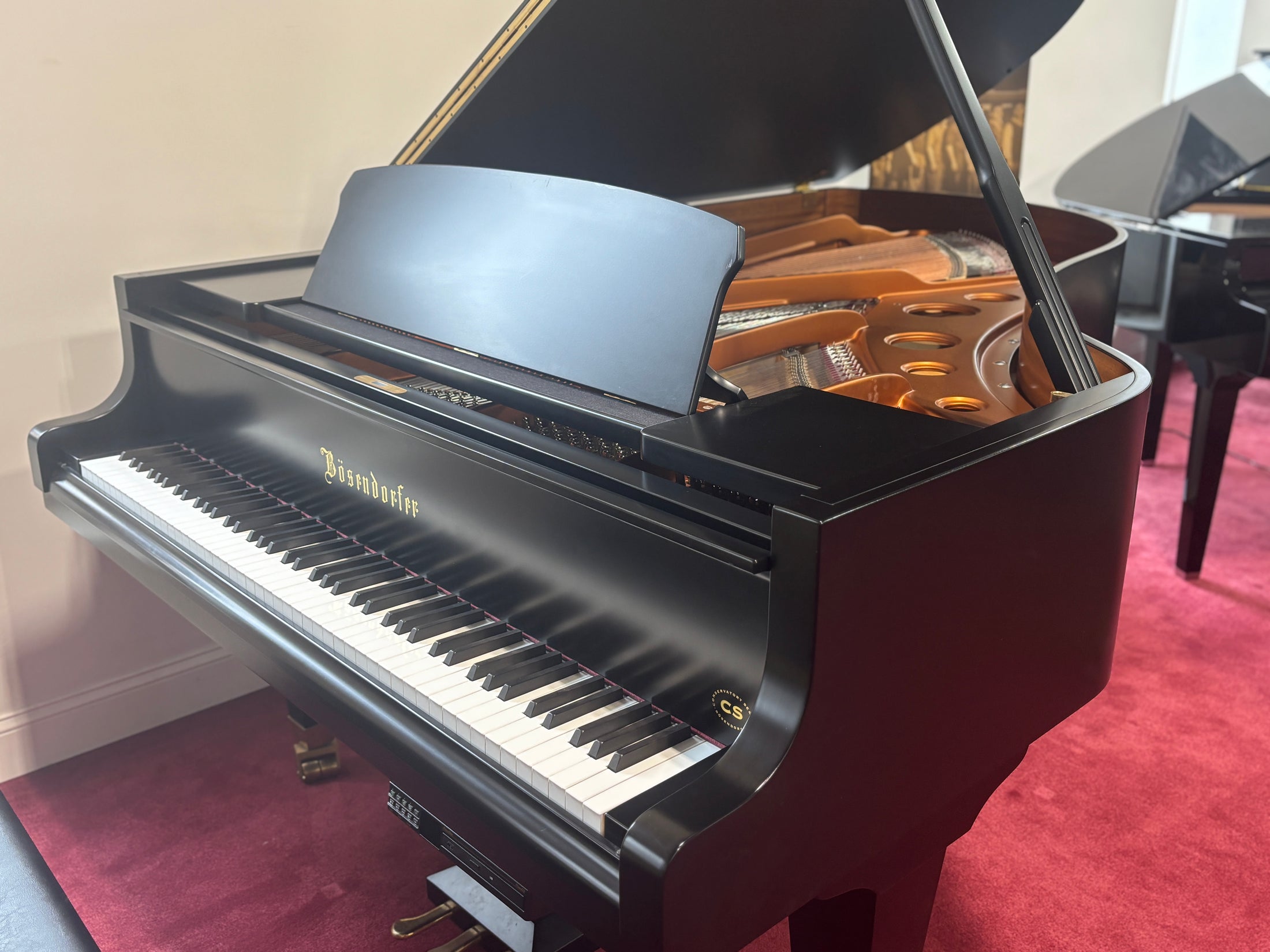 2004 Bösendorfer 214 Grand Piano – Tori Amos Signed | Player System | 5-Year Warranty