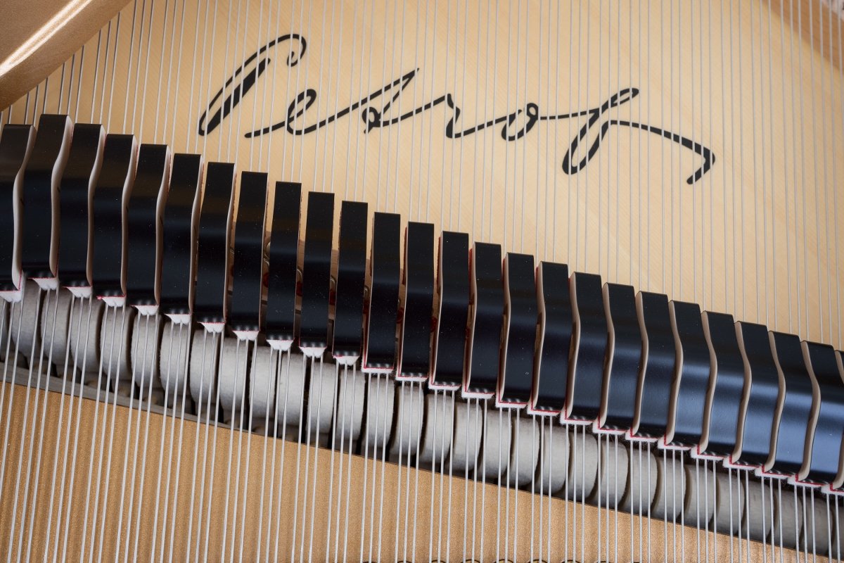 Petrof P 173 Breeze 5'6" Grand Piano