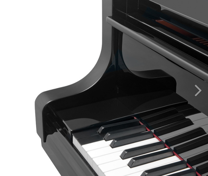Bosendorfer 225 price hotsell
