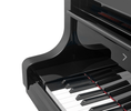Load image into Gallery viewer, Bösendorfer 225 (7'4") Grand Piano in Polished Ebony - Cunningham Piano
