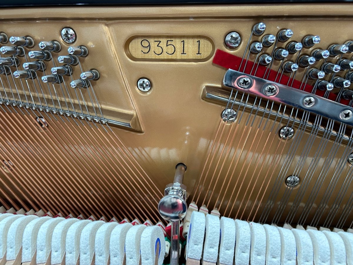 Mason & Hamlin model 50 Professional Upright 93511 - Cunningham Piano