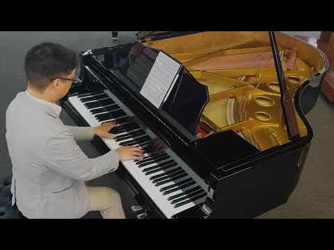 Pianist II　限定版 Estonia Model L190 6'3