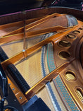 Load image into Gallery viewer, Used Bösendorfer 200 Piano - Cunningham Piano
