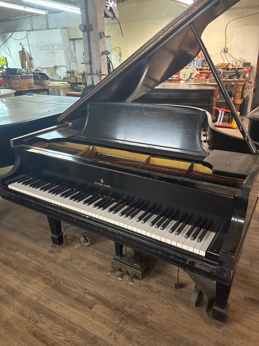 Used Steinway & Sons L Grand Piano - Cunningham Piano