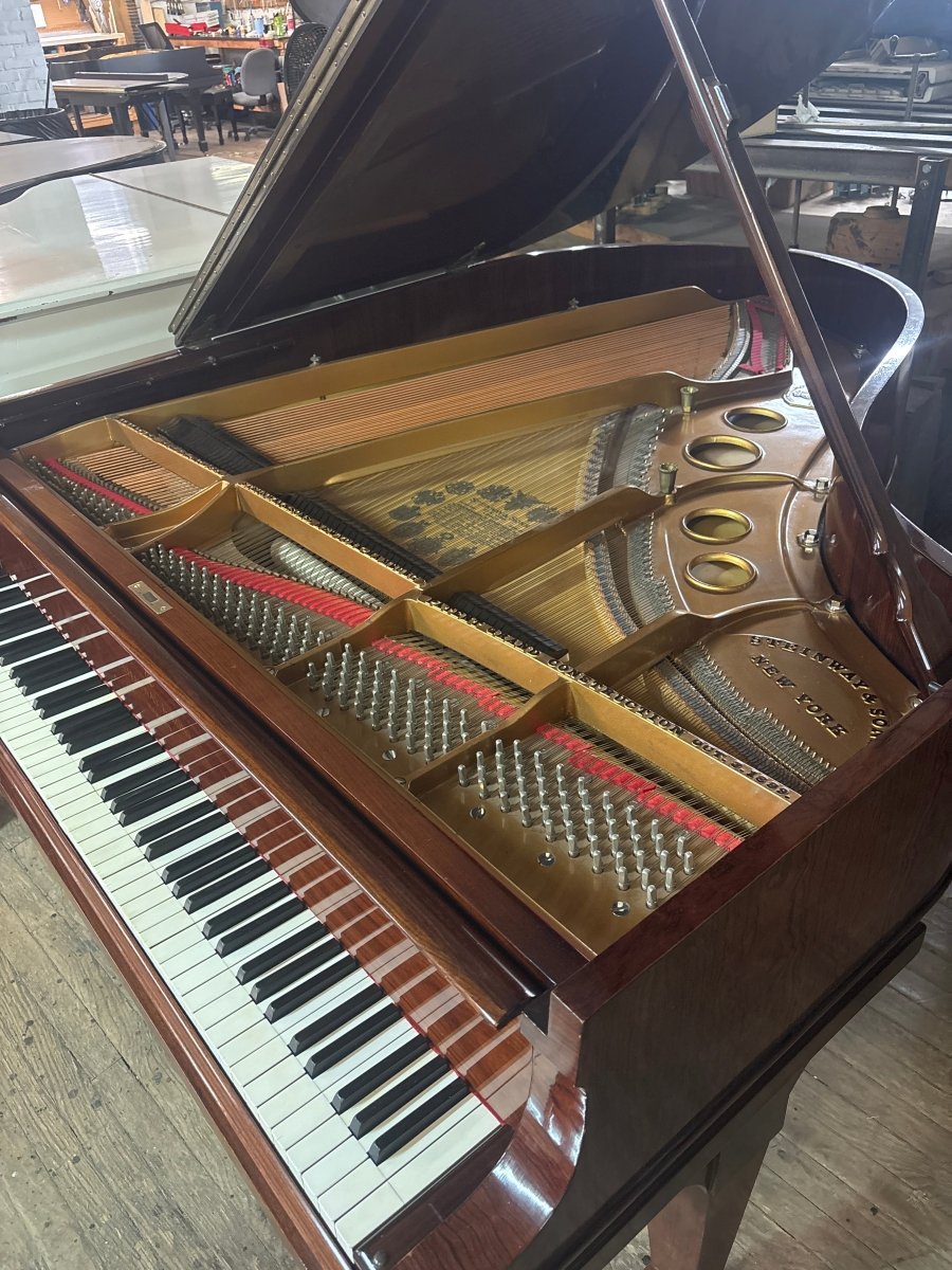 Used Steinway & Sons O Grand Piano - Cunningham Piano