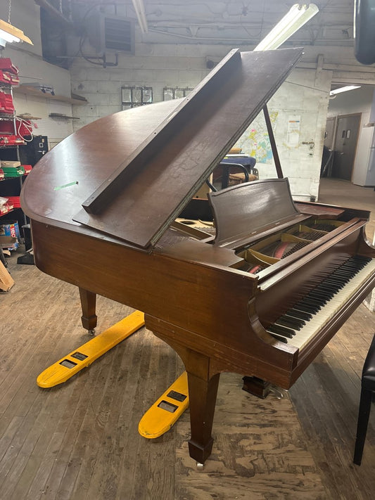 Used Steinway & Sons O Grand Piano - Cunningham Piano