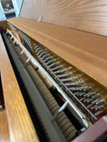 Load image into Gallery viewer, Used Young Chang F - 116 Upright Piano - Cunningham Piano
