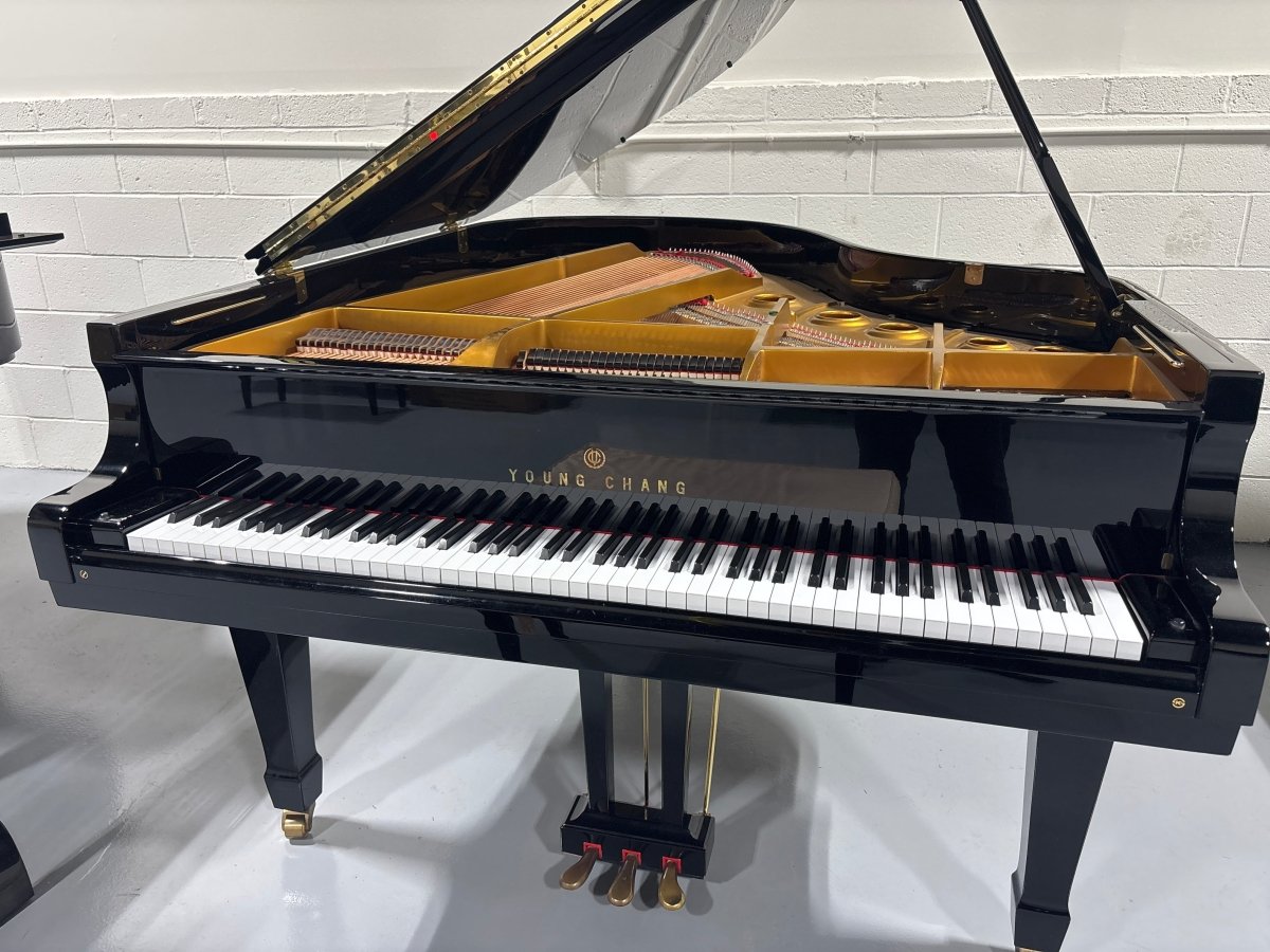 Used Young Chang G-185 PE Grand Piano - Cunningham Piano