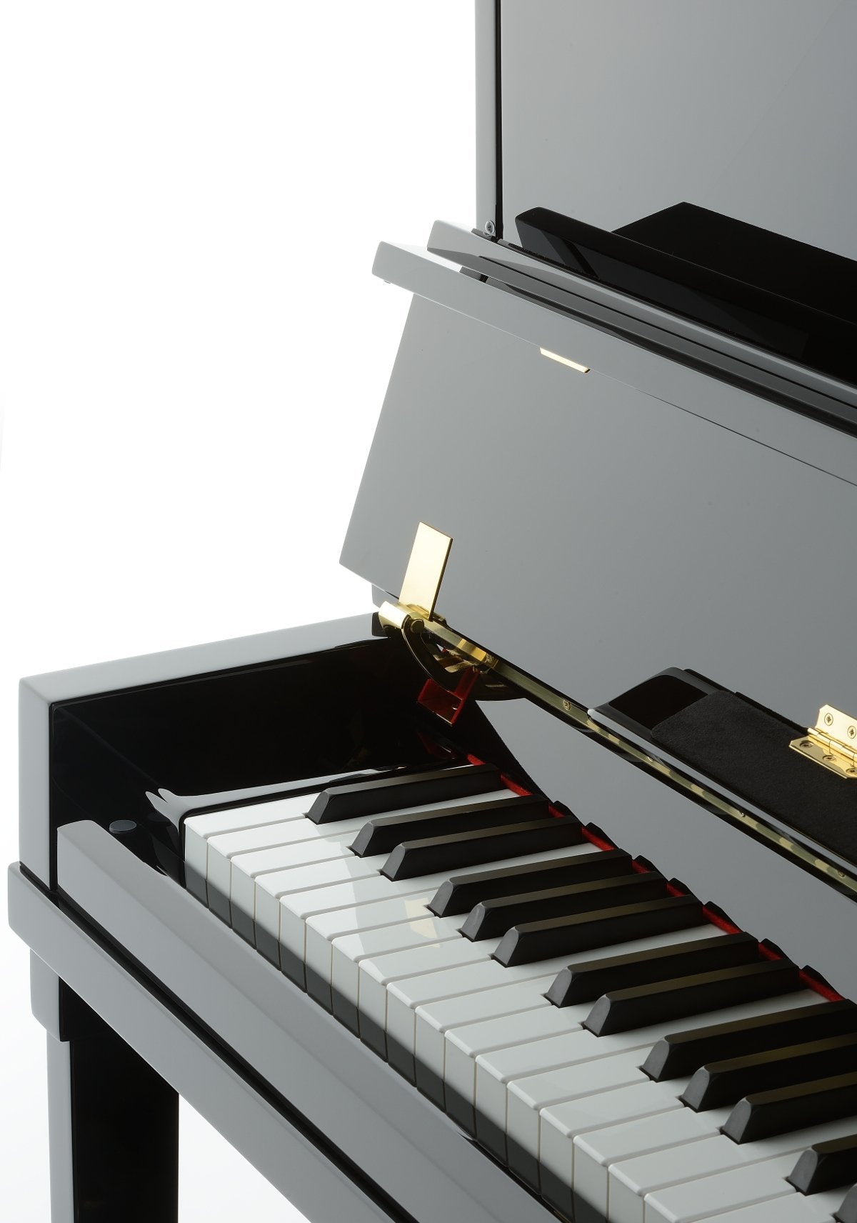 Petrof 122 (48") H1 in Ebony Polish